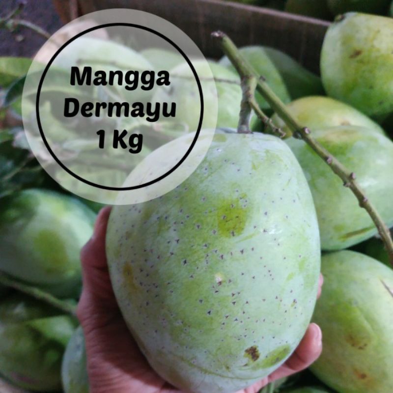 

mangga indramayu 500g