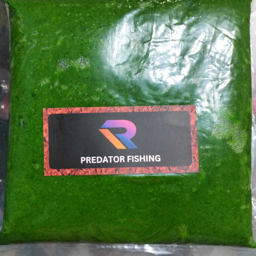 UMPAN GALATAMA LELE KOLOR IJO