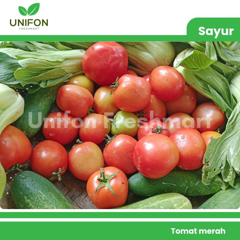 

Tomat merah Fresh 500g