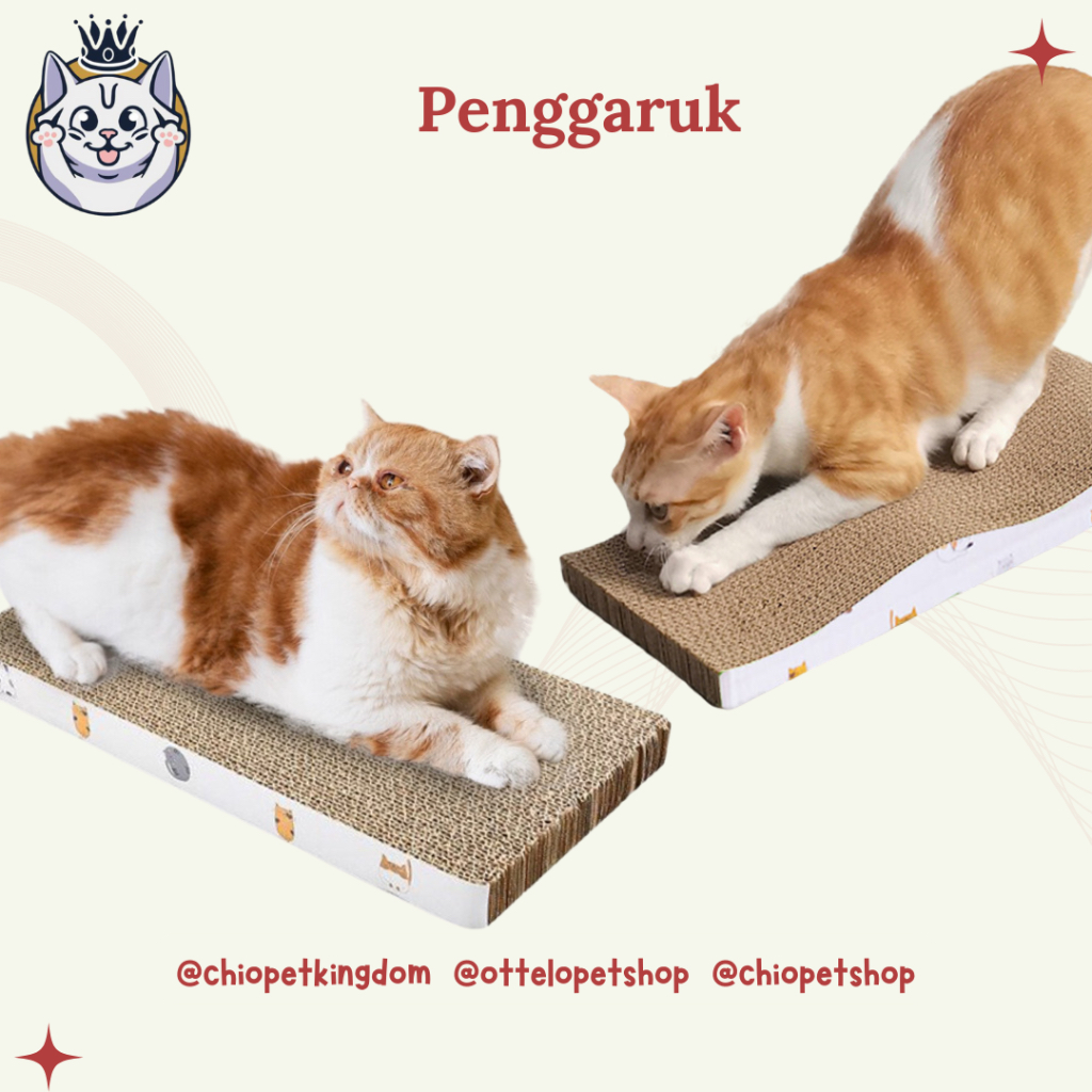 Papan Garuk Kucing Mainan Penggaruk Kucing / Scratching Pad