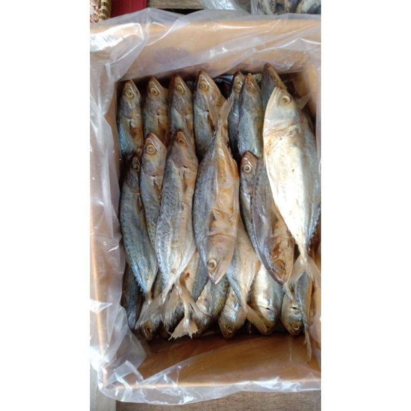 

beraneka ragam ikan asin