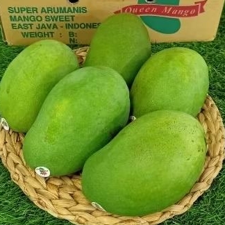 

BUAH MANGGA QUEEN LILY ASLI SUPER MANIS PREMIUM 1 KG