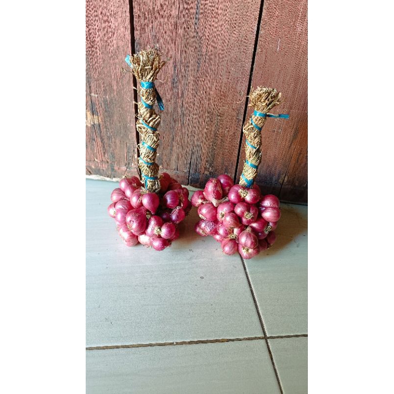 

Bawang probolinggo