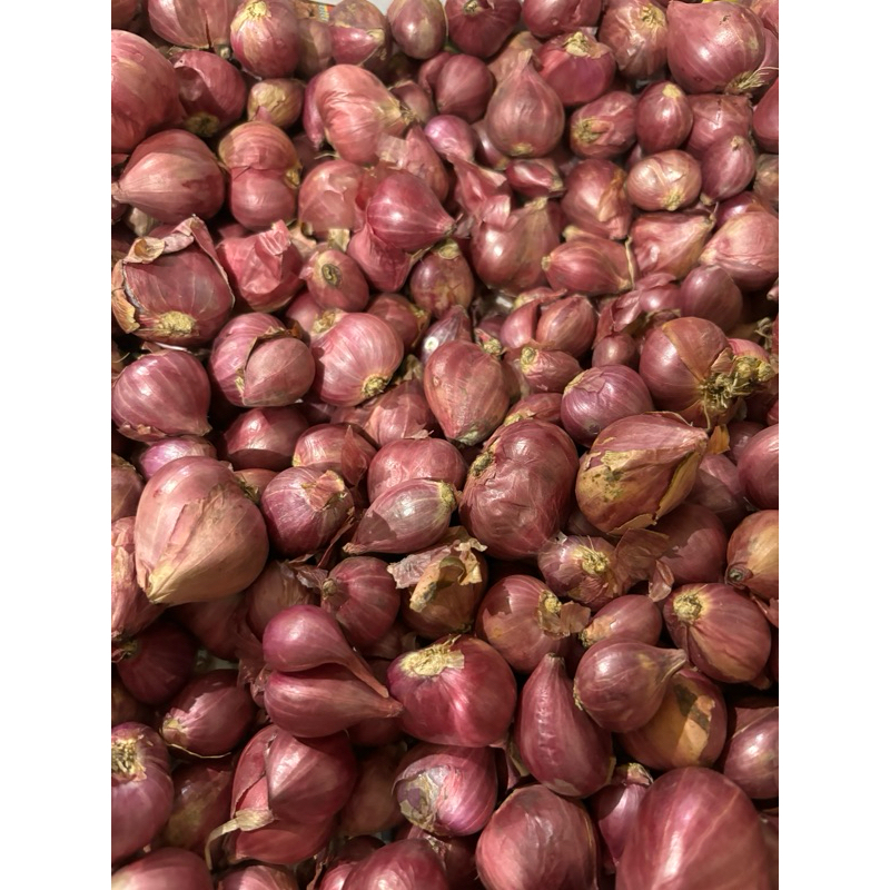 

bawang merah 1kg probolinggo