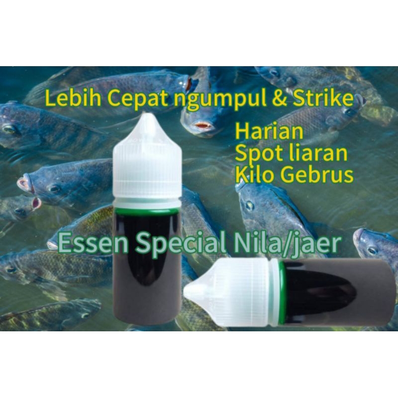 essen ikan nila / mujair liaran