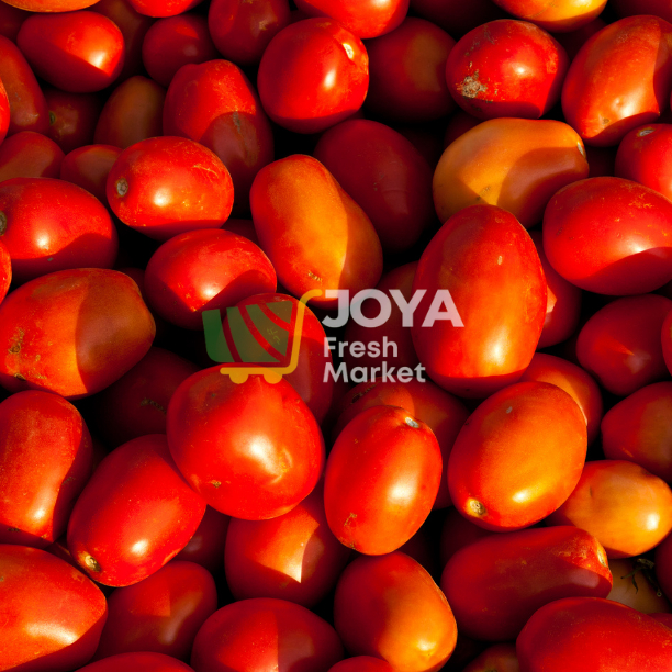 

Joya Fresh - Tomat Merah Berastagi/Tomat Merah Segar