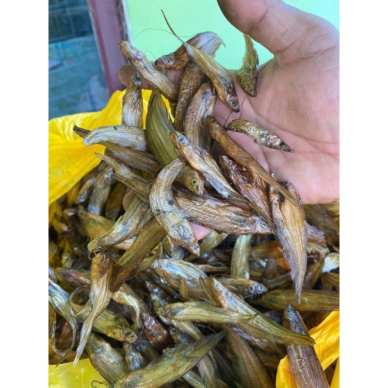 

Ikan Salai Kapare (Anak Ikan Silais) khas Kampar riau