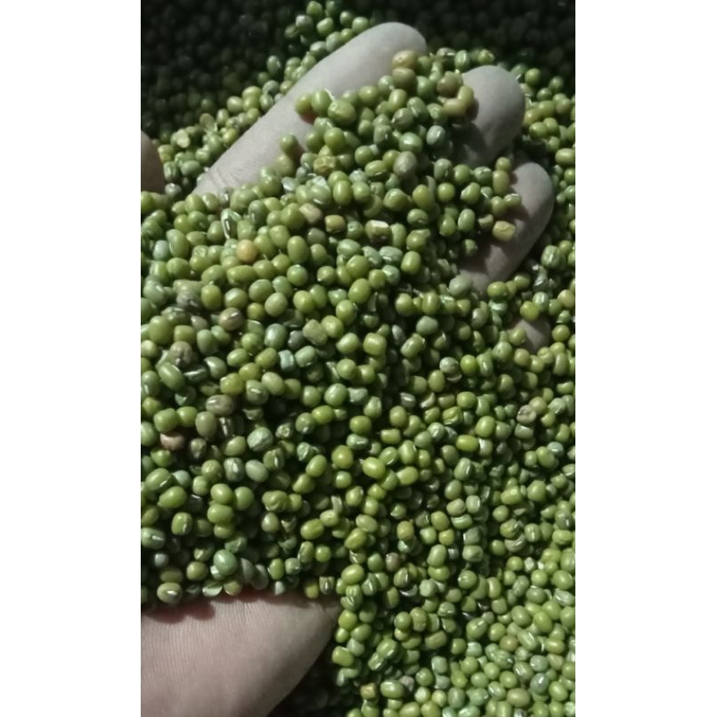 

1 Kg Kacang Hijau Bubur Australia