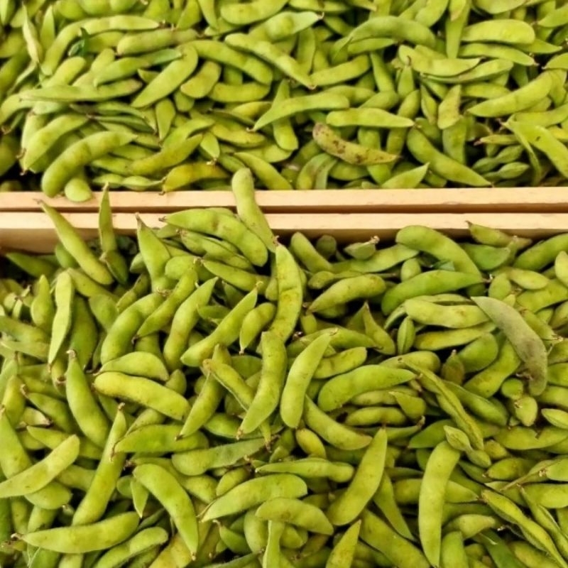 

EDAMAME +/- 500G
