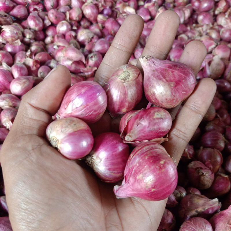 

Bawang merah lokal 1kg