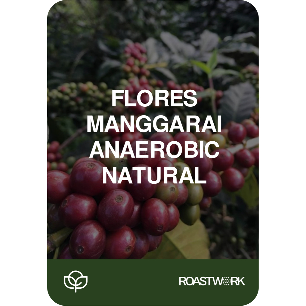 

Biji Kopi Arabica Flores Manggarai Anaerobic Natural Espresso Roasted