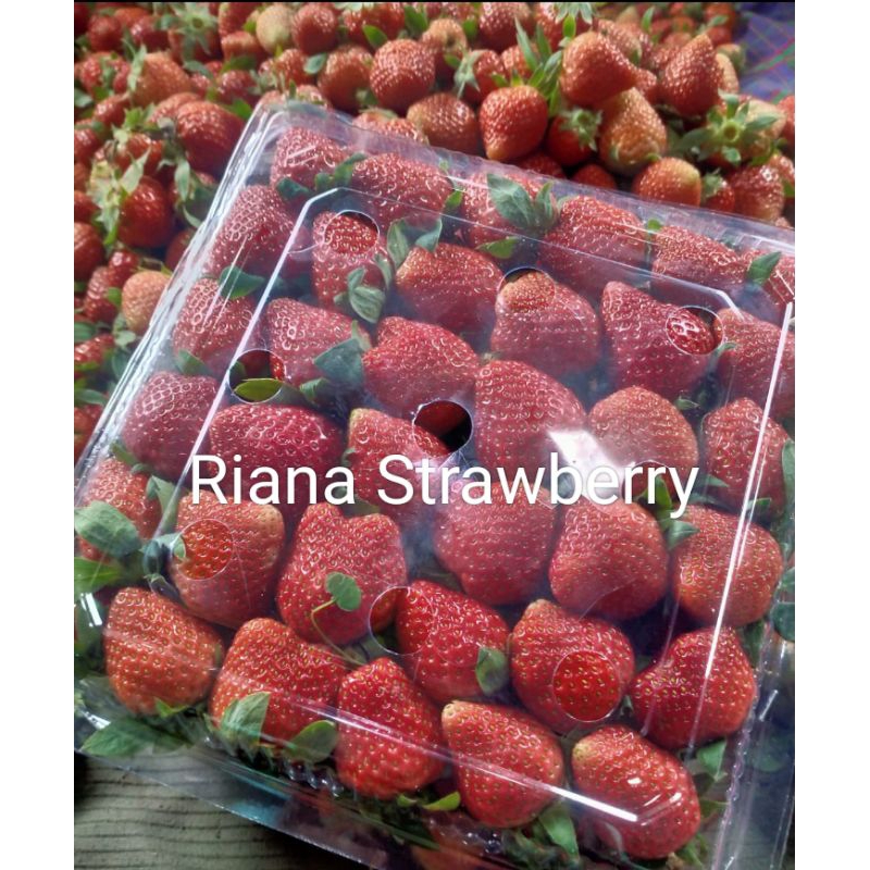 

strawberry fresh Grade AB