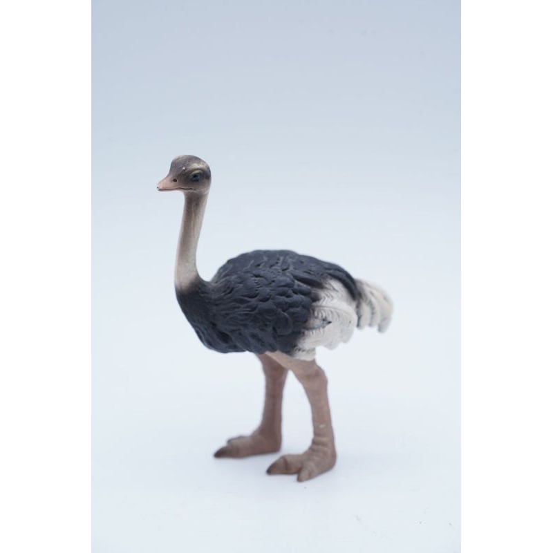 Ostrich Burung Unta Baby Mainan Animal Figure Binatang Miniature Edukasi Anak Hewan Figurine Pajanga