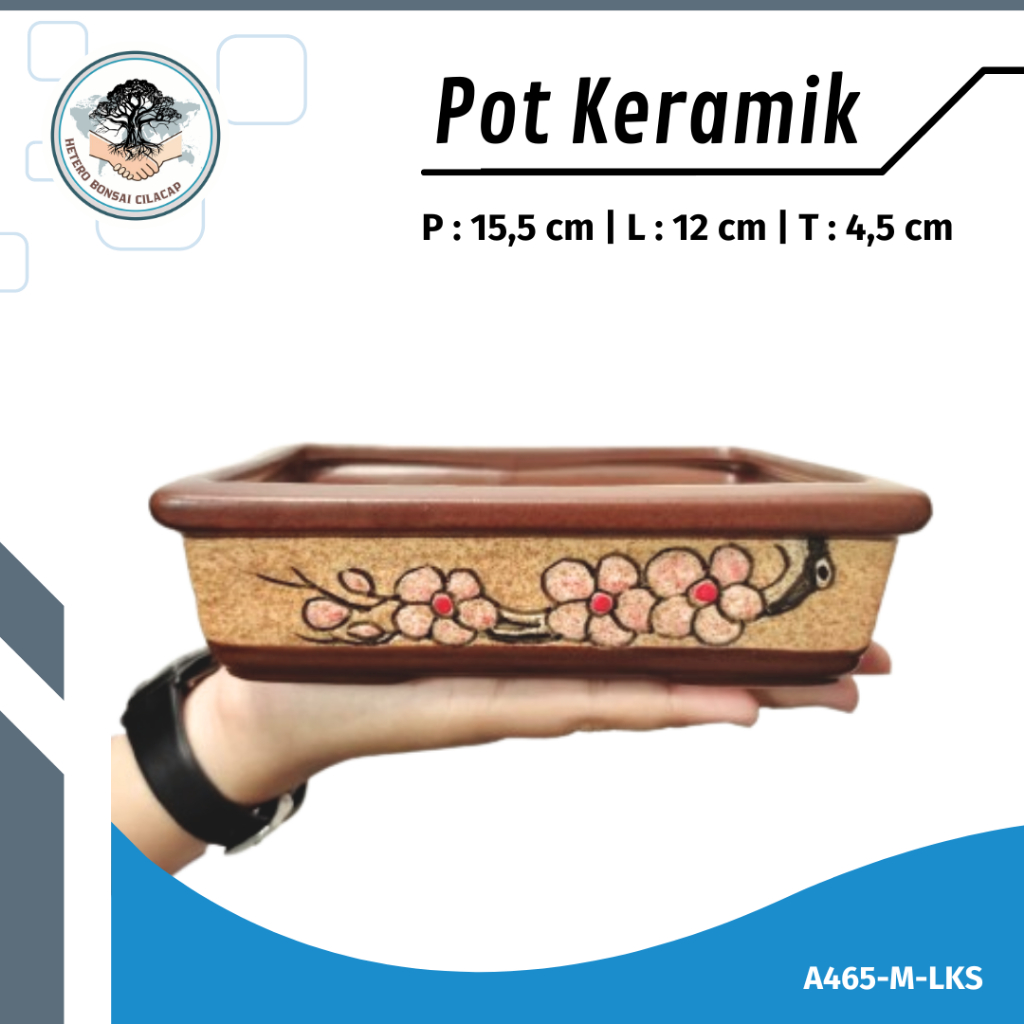 Pot Bonsai Keramik MAME Kotak Persegi Panjang Unik