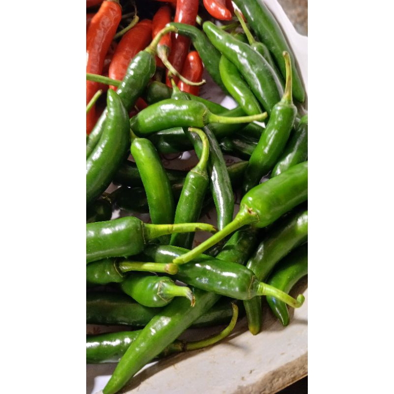 

cabai tw ijo pilihan 100grm