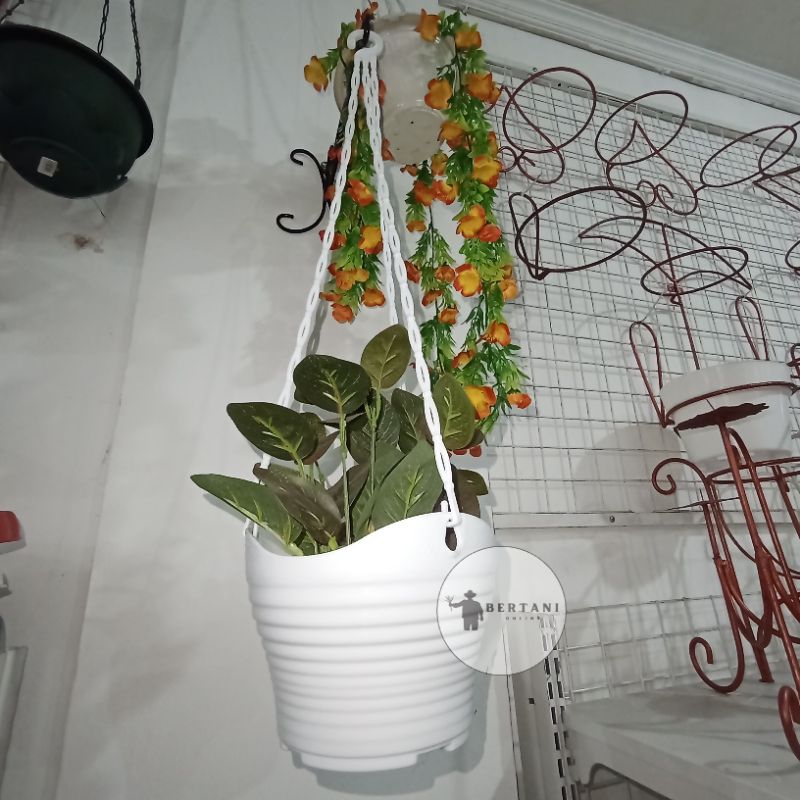 Pot Gantung Charlie 20 Alexish