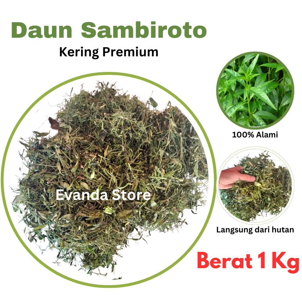 

1Kg TERMURAH Daun Sambiroto Kering cacah daun sambiloto Kering Cacah