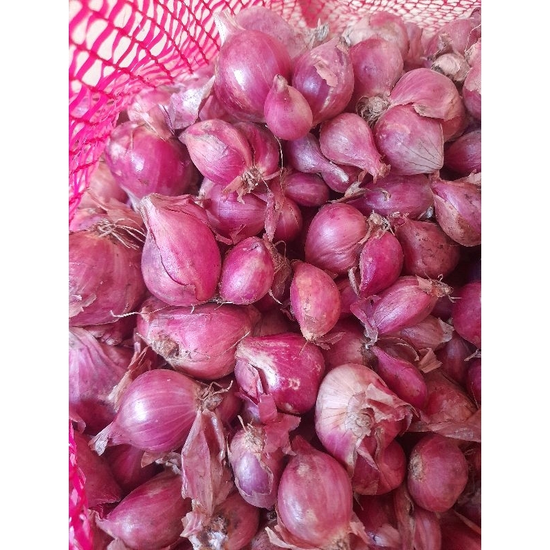 

Bawang Merah Kering 1 KG Murah