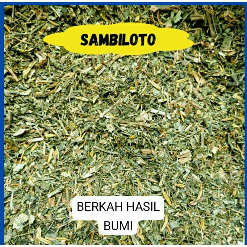 

1kg murah!!! DAUN SAMBILOTO/SAMBIROTO KERING ORIGINAL TANAMAN HERBAL NUSANTARA