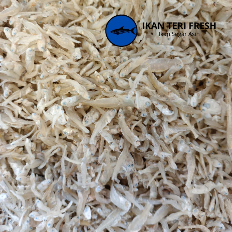 

Ikan Asin | Teri Medan Ukuran Kecil 250 Gram