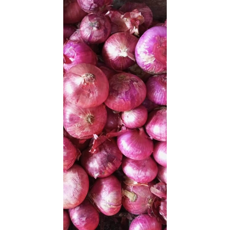 

Bawang Bombay Merah 1kg