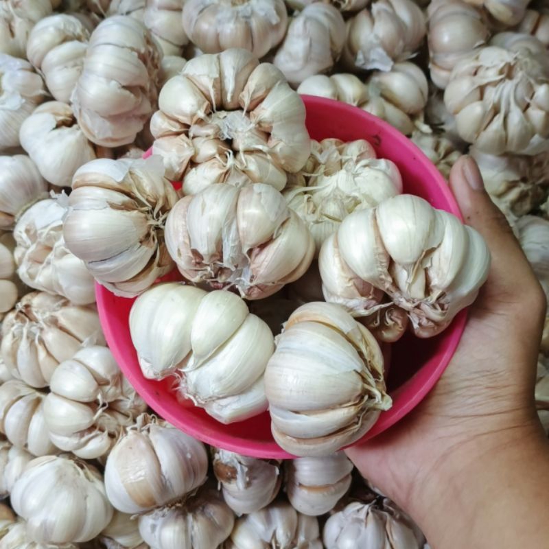 

Bawang putih besar Import 1 kg (BERSIH)