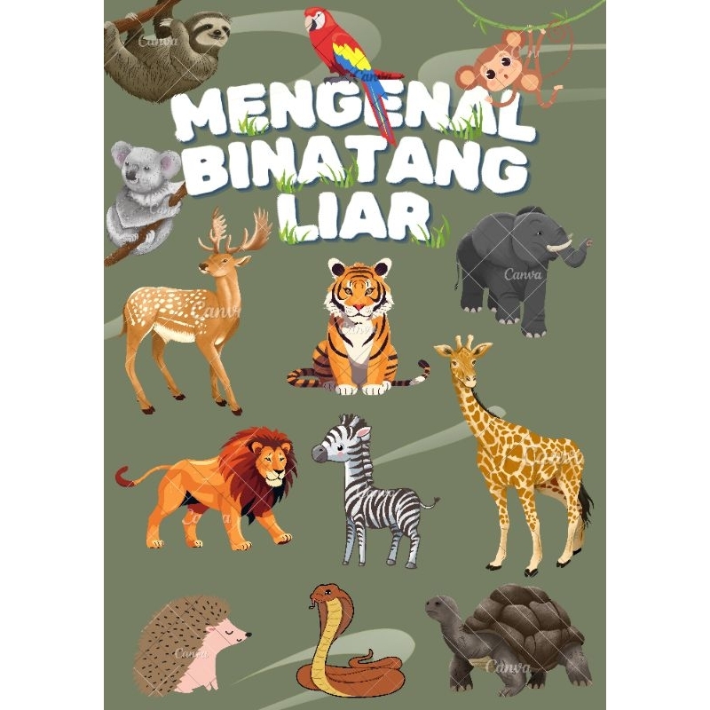 poster edukasi anak 2 tahun (mengenal binatang liar)
