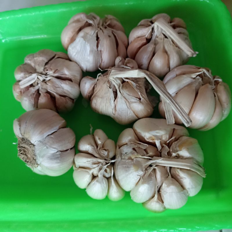 

BAWANG PUTIH KWALITAS SUPER