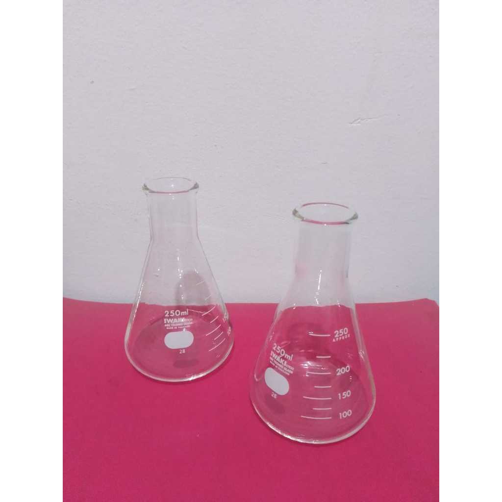 Erlenmeyer Flask Glass 250ml Iwaki.