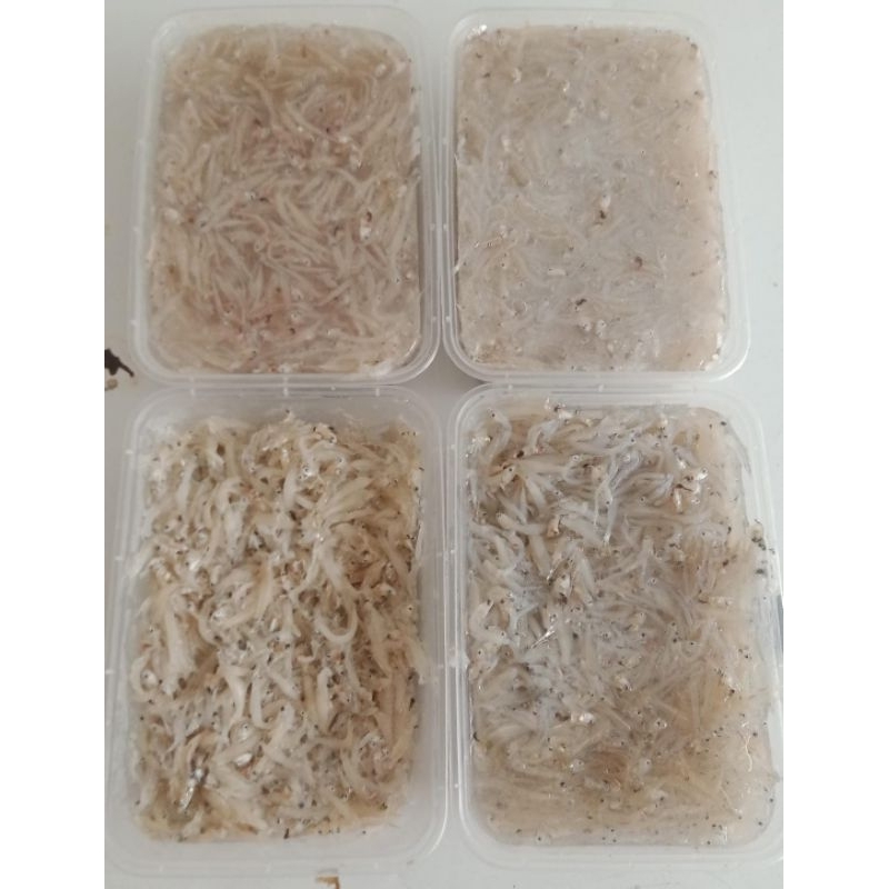 

Teri Nasi basah