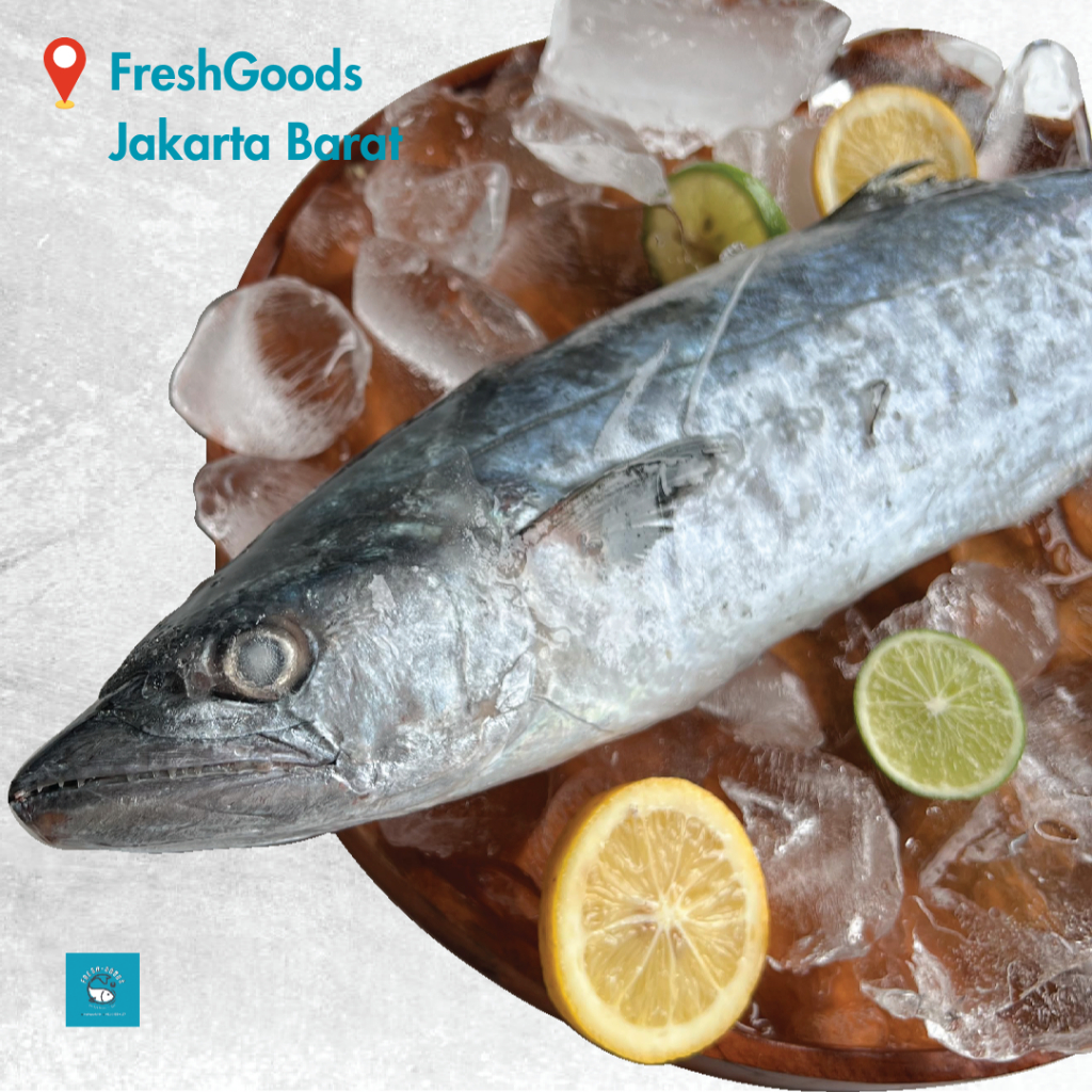 

Ikan Tenggiri Segar - Fresh Goods Jakarta Barat