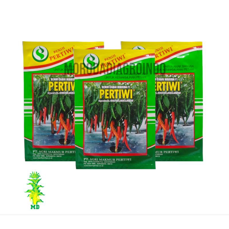 Benih cabe besar hibrida F1 pertiwi kemasan 10 gram