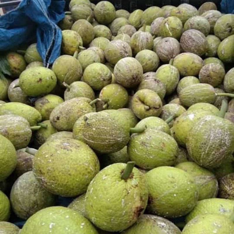 

buah sukun 1 biji besar