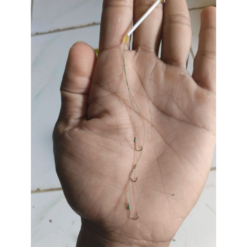 RANGKAIAN KAIL UNTUK IKAN MUJAIR/NILA