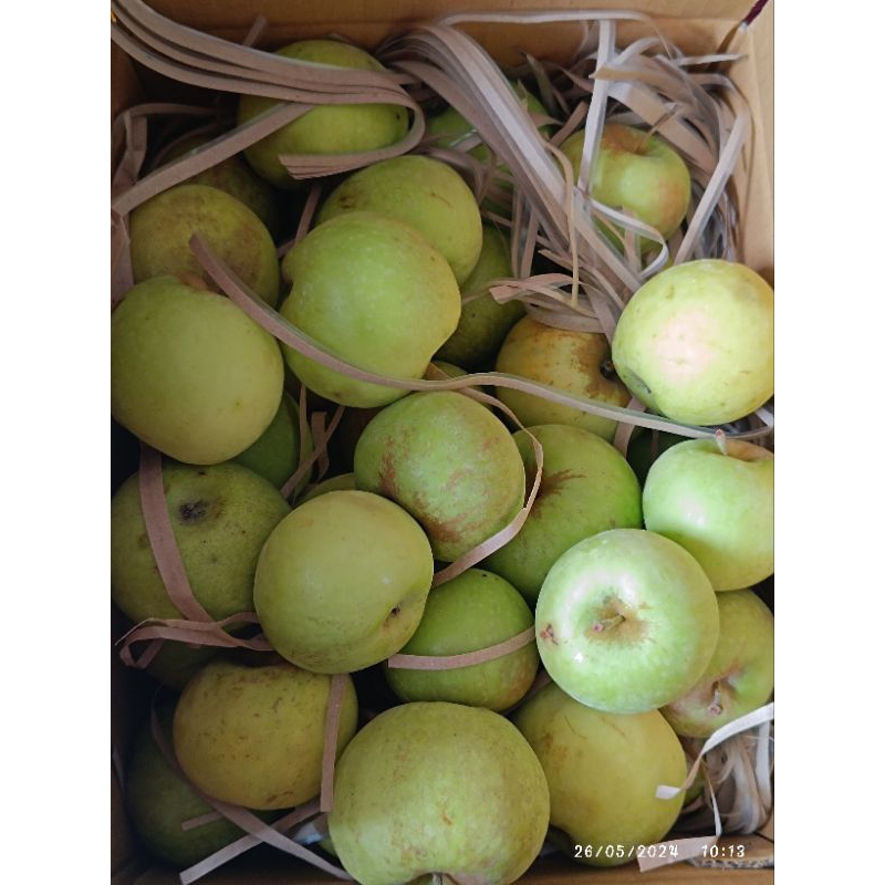 

apel manalagi fresh 2 kg isi 10-15 berat 2 kg