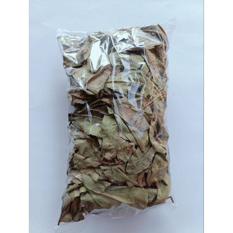 

DAUN LEMPENI KERING 100 GRAM