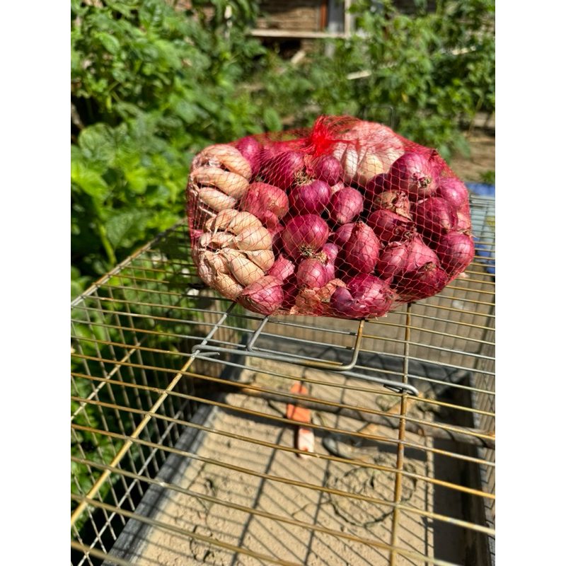 

bawang merah 1kg kering bonus bawang putih 250gram