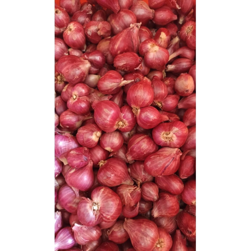 

BAMER Bawang Merah Murah [100gr]