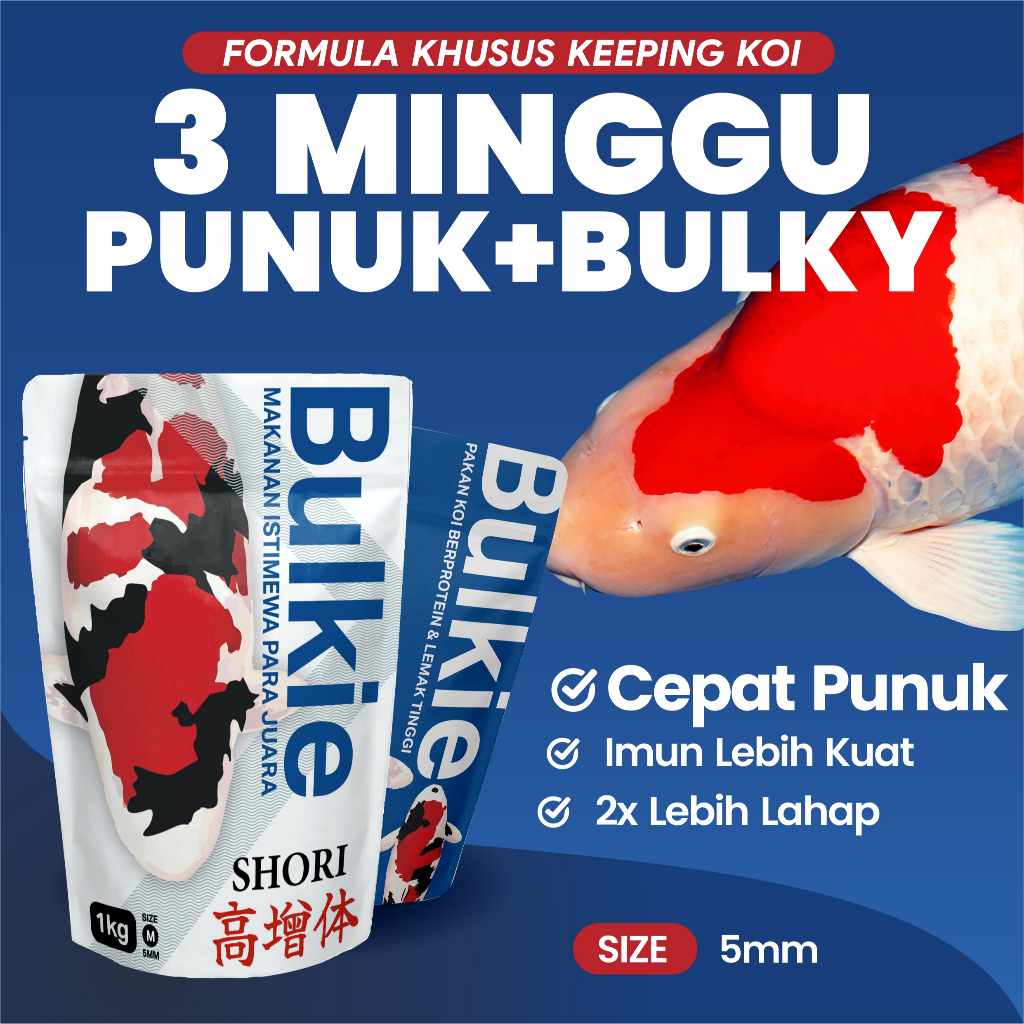 DimasStorr Pakan Koi Bulkie 5mm Pakan Khusus Pembesaran Ikan Koi Pelet Makanan Hi Growth 1KG