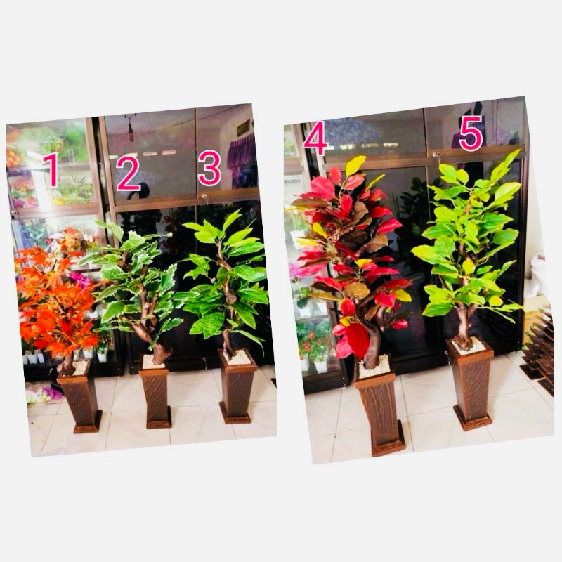 Pohon dan pot anggur, alpukat, dan daun singkong artificial jumbo