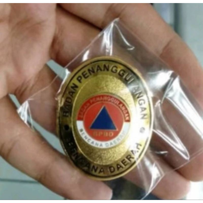Pin IPDN/Lencana IPDN