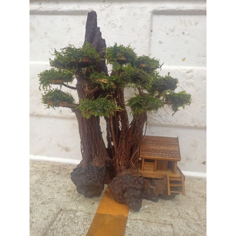 bonsai rumah rentek besar bonsai aquascape dan hiasan aquarium
