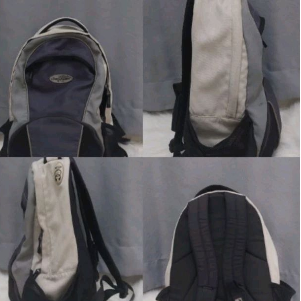 Deuter Backpack