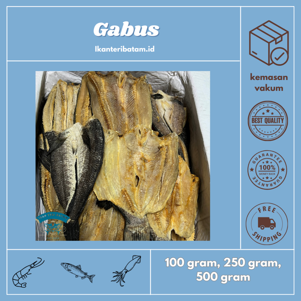 

Ikan Asin Gabus Kemasan Vakum - Kualitas Premium - Ikan Teri Batam