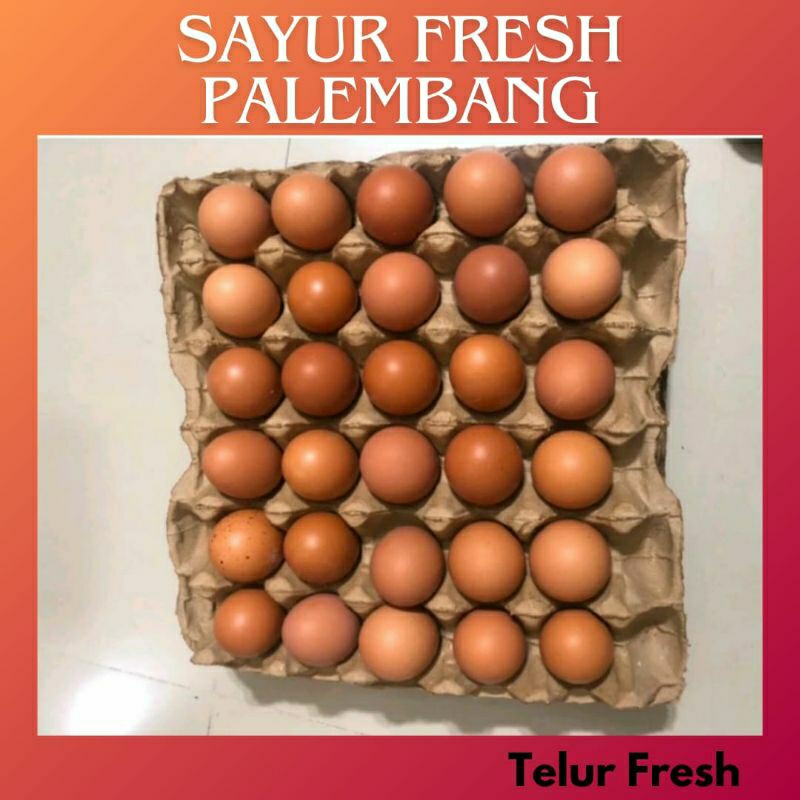 

TELUR AYAM NEGERI TELOR - SAYUR FRESH PALEMBANG
