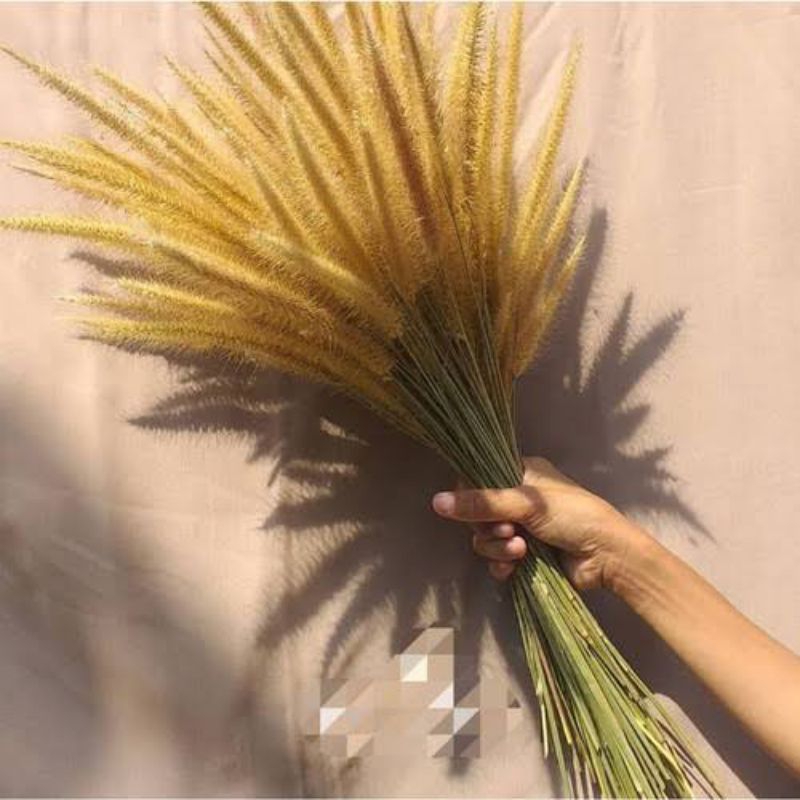 BUNGA ILALANG RUSTIC/BUNGA DRIED FLOWER/ILALANG RUSTIC/BUNGA BAHAN RUSTIC/BUNGA KERING BUKET
