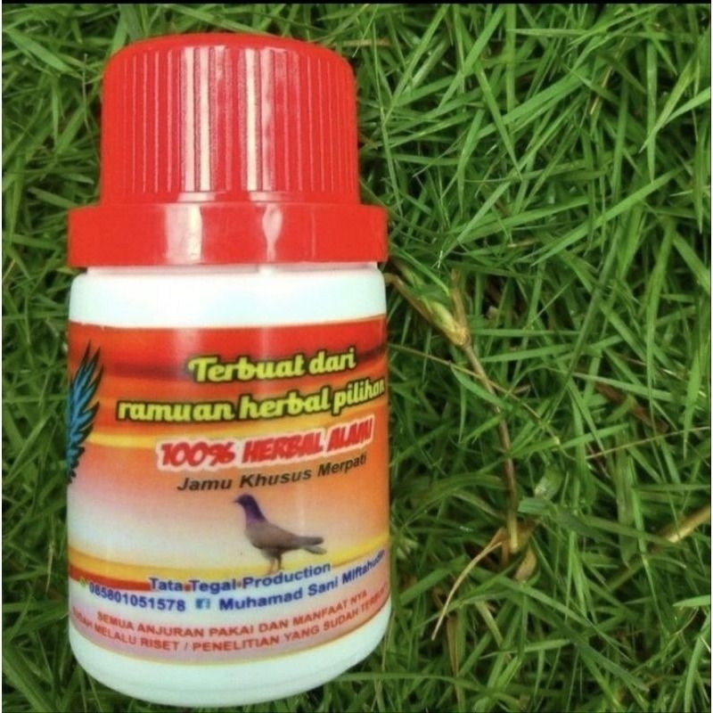 

Piscoklegit_ Jamu Merpati Rjb Isi 100 Butir