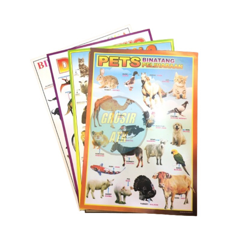 1 SET POSTER HEWAN DAN BINATANG POSTER DINDING