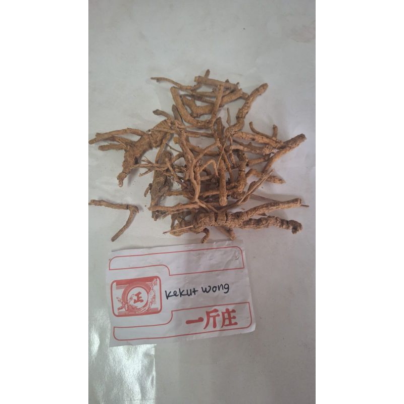 

300 G GR GRAM 鸡骨癀 JI GU HUANG 鸡骨香 JI GU XIANG THICKLEAF CROTON ROOT CROTON CRASSIFOLIUS GEISEL