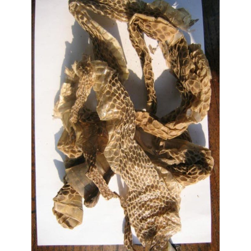 

300 G GR GRAM 白龙衣皮 BAI LONG YI PI 蛇蜕 SHE TUI SNAKE SLOUGH